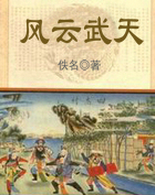 风云武天